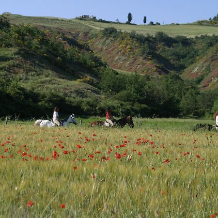 منزل الضيف Celle sul Rigo  في Il Poggio المظهر الخارجي الصورة